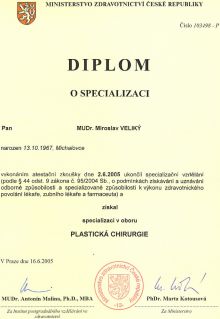 Diplom plastika